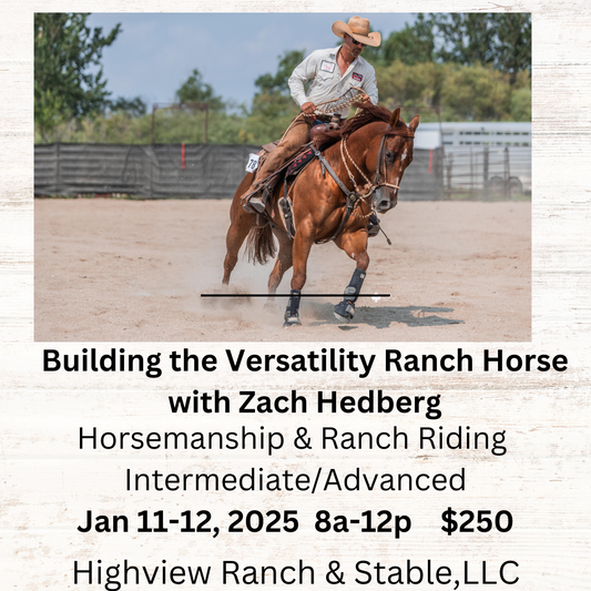 Building the Versatility Ranch Horse clinic Jan 10-11 Advanced