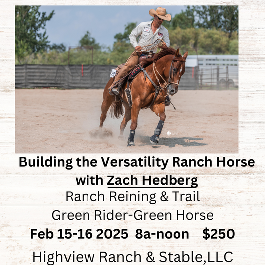 Building the Versatility Ranch Horse clinic Feb 15-16 green rider/horse